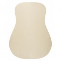 Sycamore Acoustic guitar Back