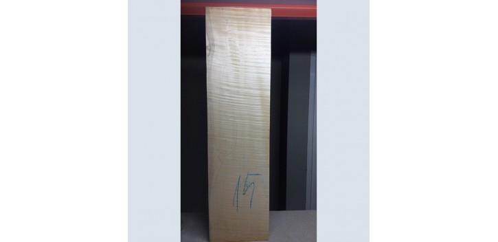 Fondo violoncelo Arce Rizado 1ª