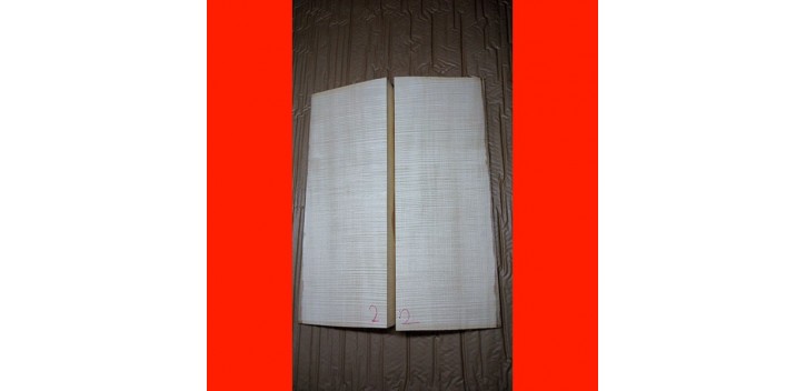 Fondo arce rizado guitarra archtop especial