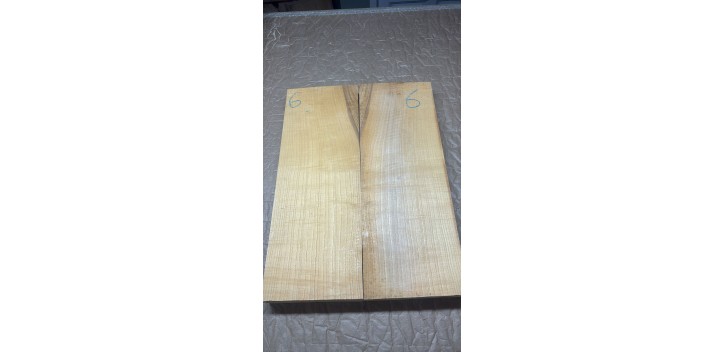 Cuerpo Guitarra/Bajo Eléctrico fresno rizado