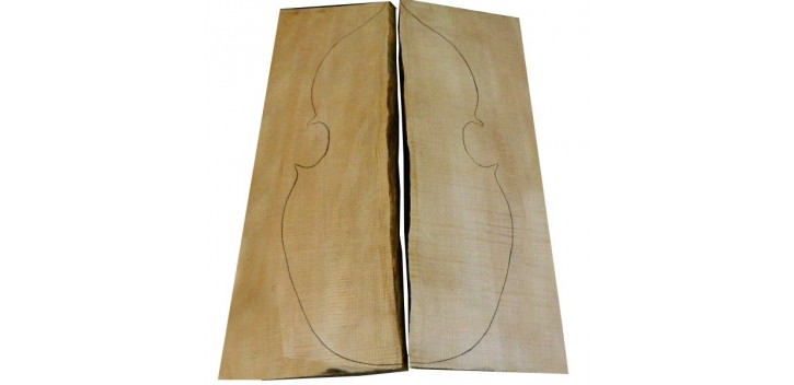 Fondo contrabajo Arce Rizado Maestro